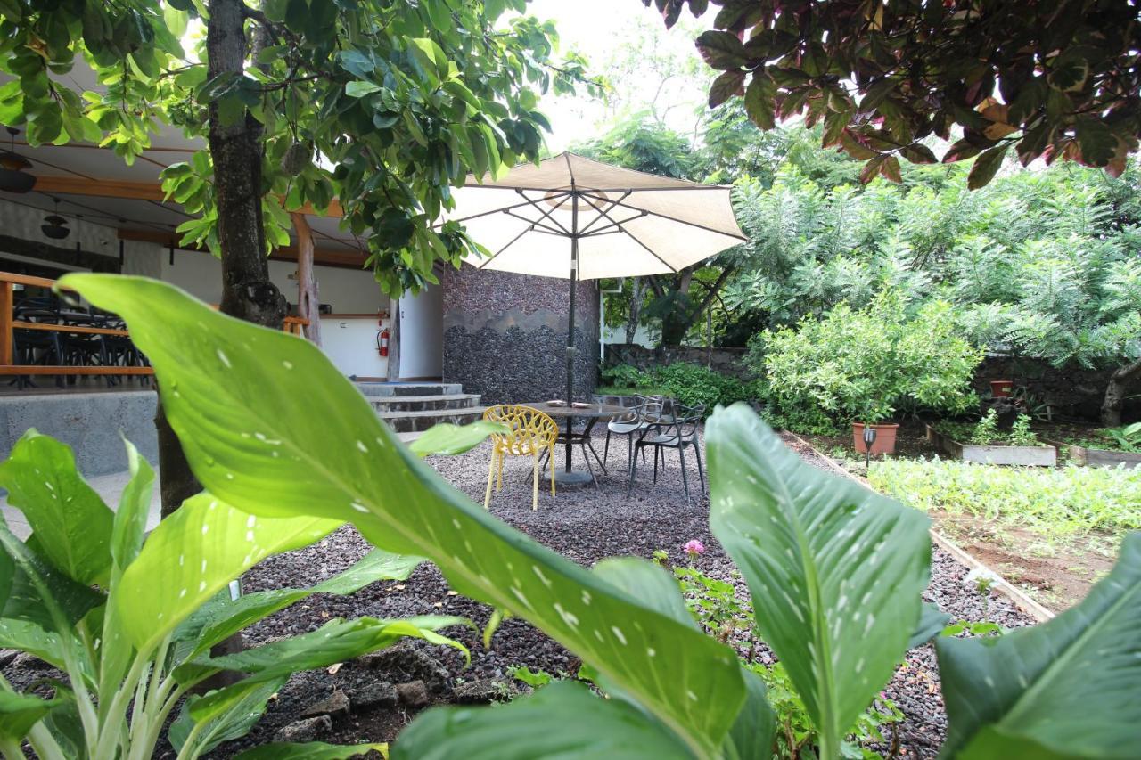 Lava House