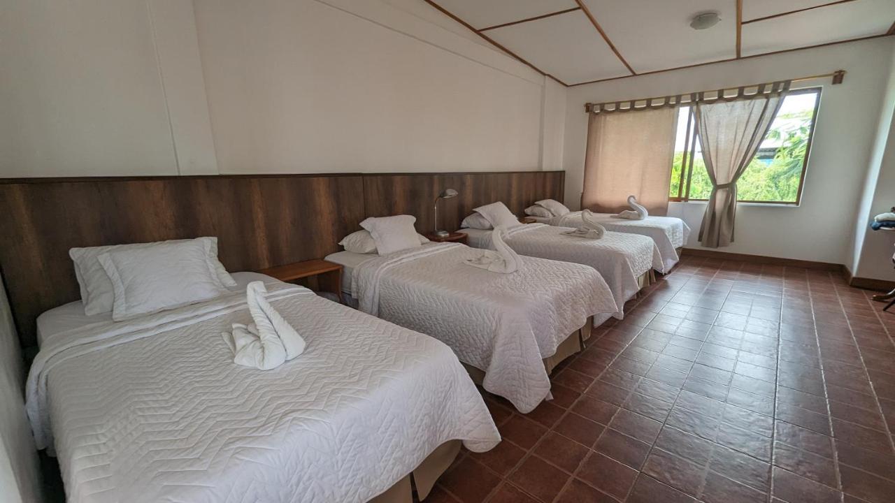 Lava House Guest house Puerto Ayora (Galapagos Islands)
