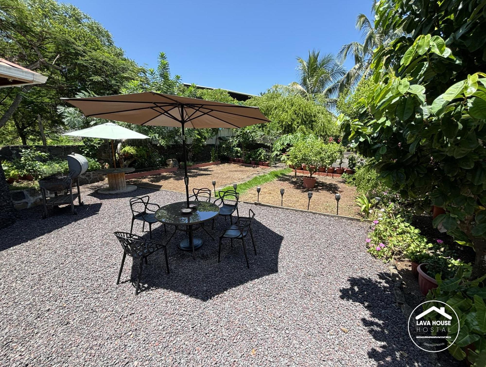 Guest house Lava House