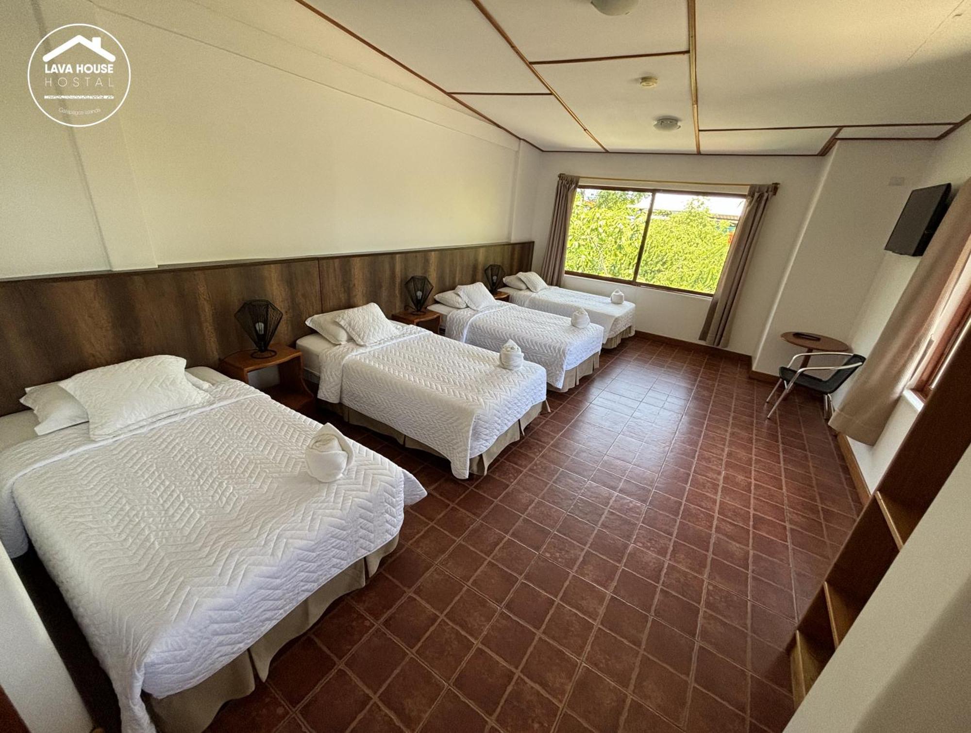 Guest house Lava House Puerto Ayora (Galapagos Islands)