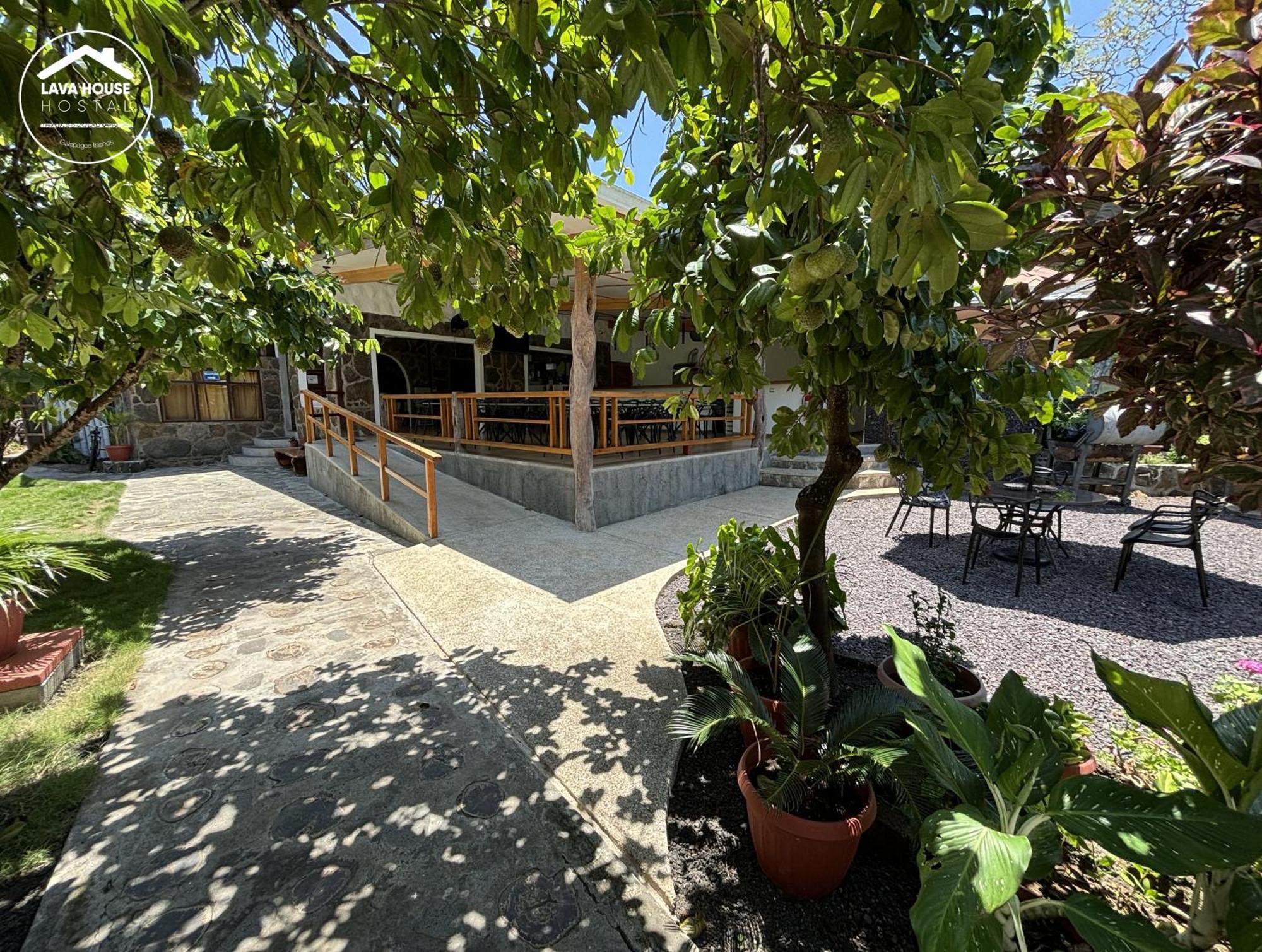 Guest house Lava House 3*