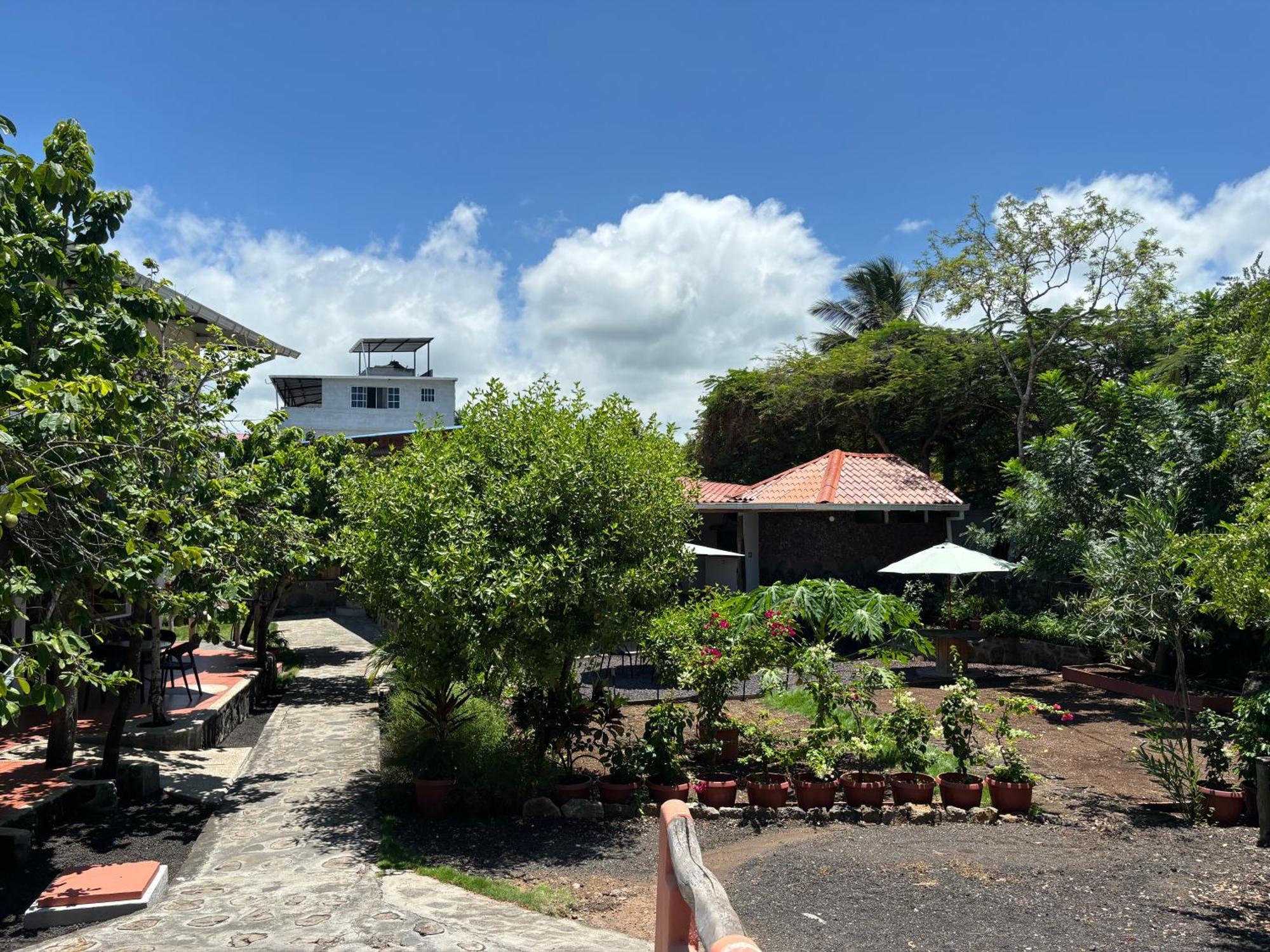 Guest house Lava House Puerto Ayora (Galapagos Islands)