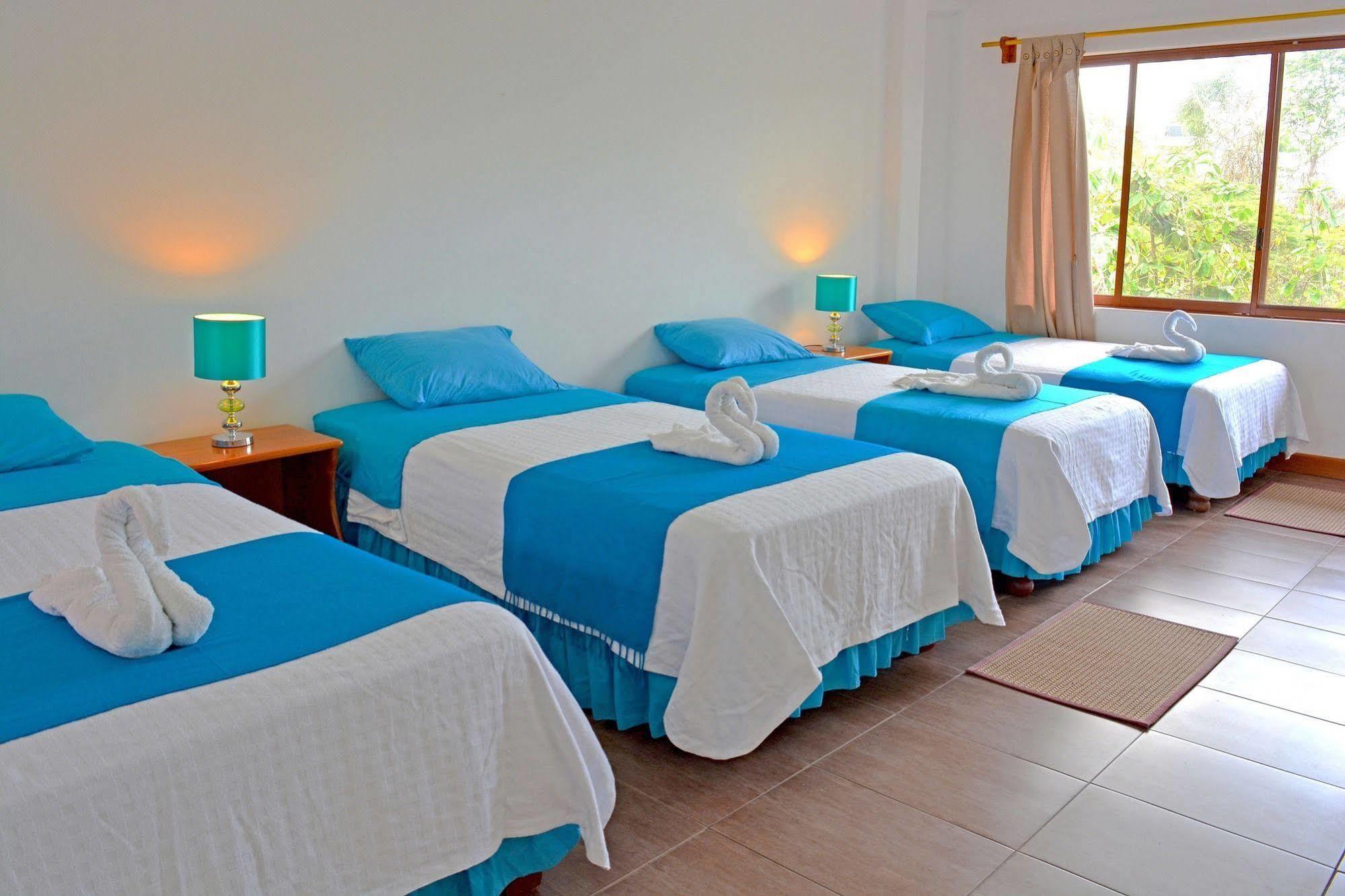 Guest house Lava House 3*