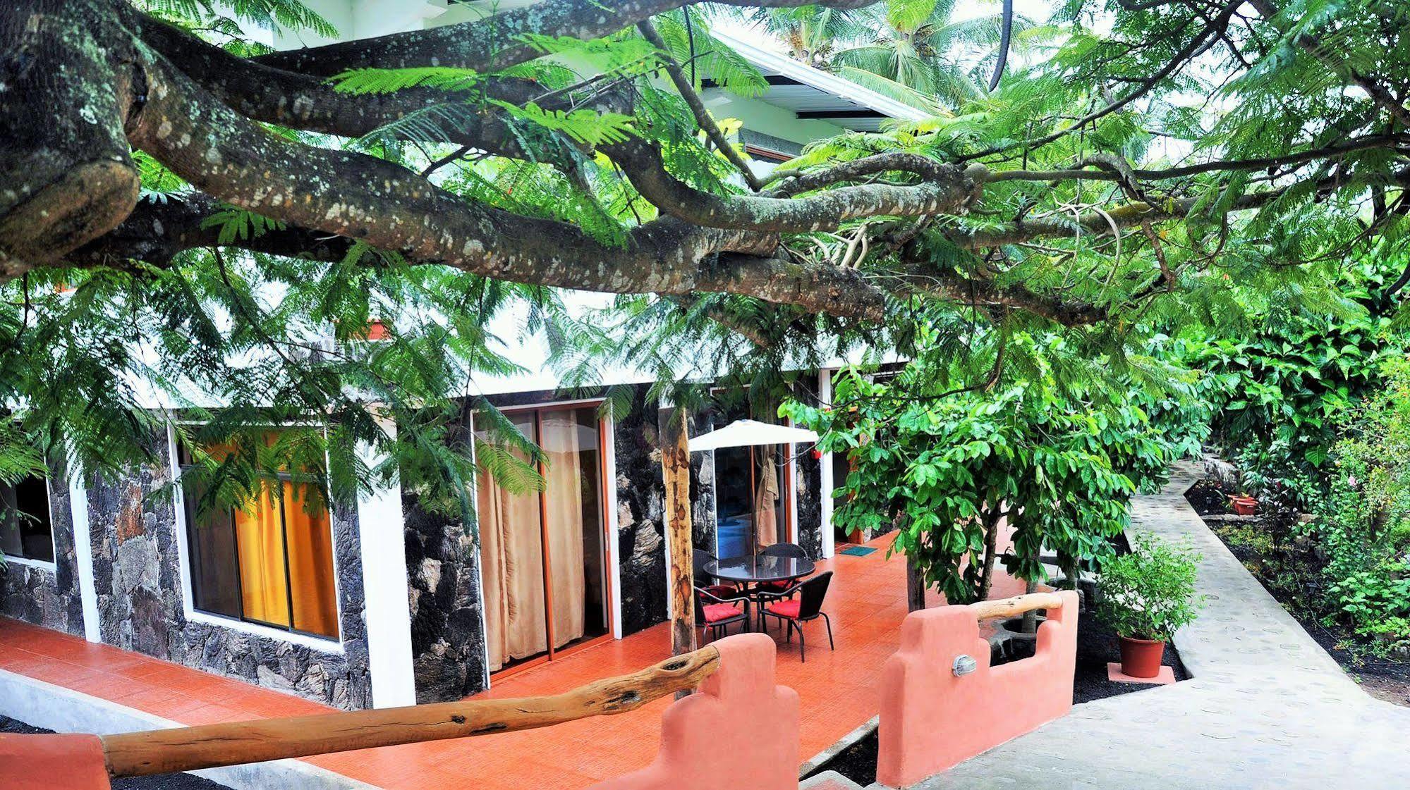 Lava House Guest house 3*